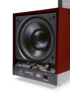 Martin Logan Expression Hybrid Electrostatic speakers ESL 13A