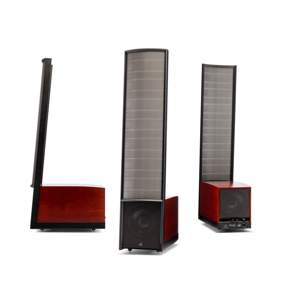 Martin Logan Expression Hybrid Electrostatic speakers ESL 13A