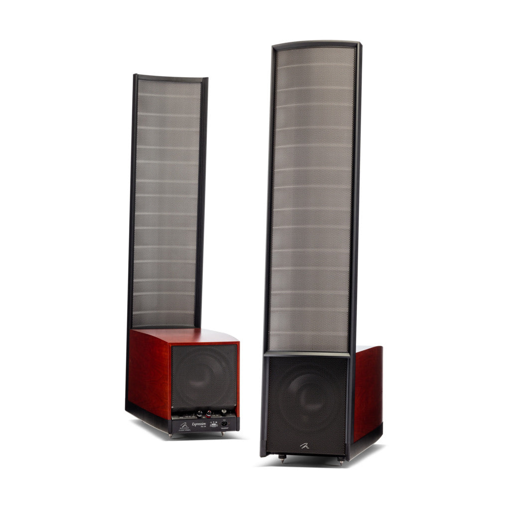 Martin Logan Expression Hybrid Electrostatic speakers ESL 13A