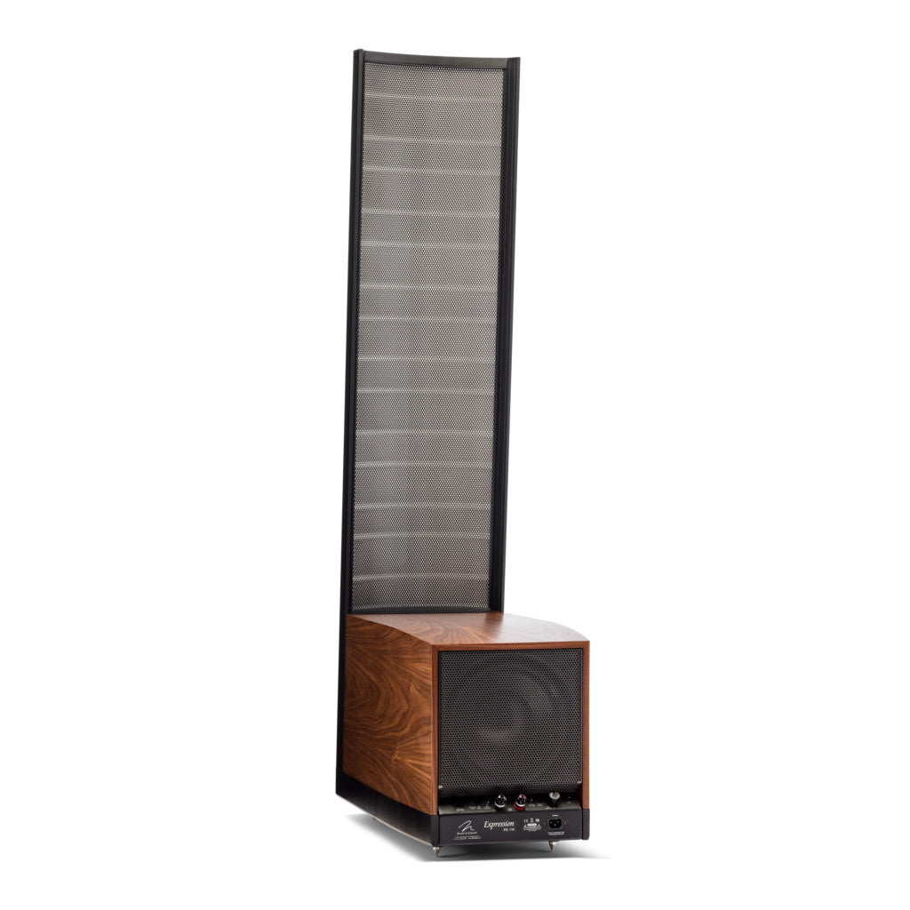 Martin Logan Expression Hybrid Electrostatic speakers ESL 13A