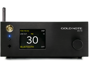 Gold Note DS-10 Plus DAC / Streamer