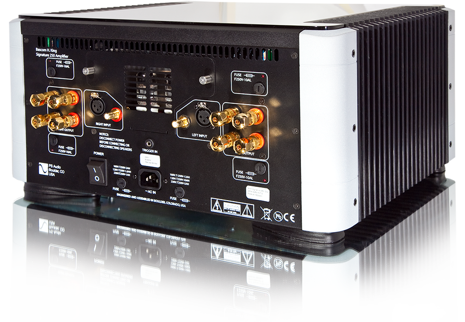 PS Audio BHK Signature BHK250 Stereo Amplifier (rear)  | Douglas HiFi