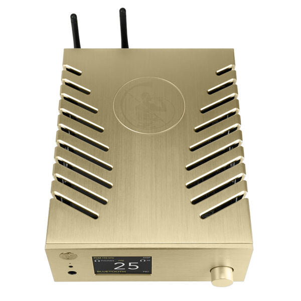 Gold Note DS-10 DAC Gold - Douglas Hifi