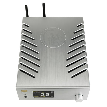 GOLD NOTE DS-10 EVO Line - Streaming DAC