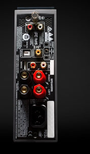 NAD D3020 V2 Desktop Amplifier Back- Douglas Hifi
