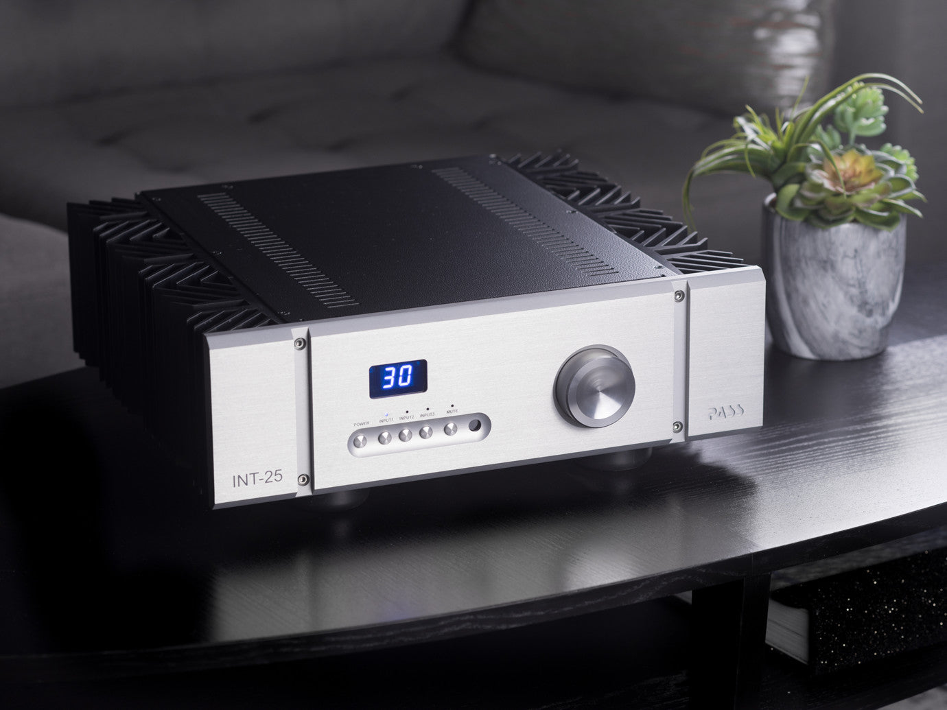 PASS Labs INT25 Class A Integrated Amplifier | Douglas HiFi Perth