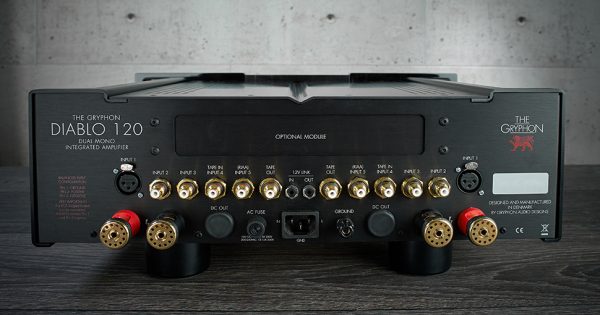 The Gryphon Diablo 120 Integrated Amplifier Back - Douglas HiFi Perth