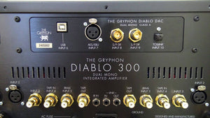 The Gryphon Diablo 300 Integrated Amplifier with optional DAC (rear view) - Douglas HiFi